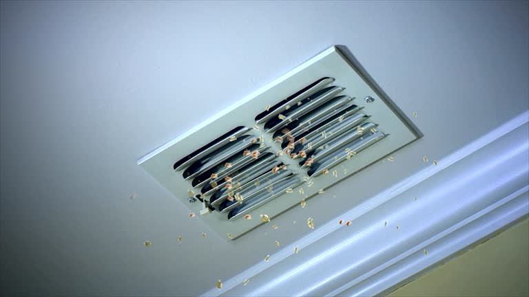 Best Ventilation Cleaning Services  in Muscoda, WI